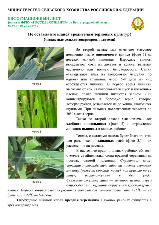 Не оставляйте шанса вредителям зерновых культур!